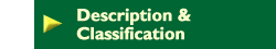 Description & Classification