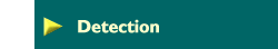 Detection